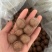 夏威夷果奶油味