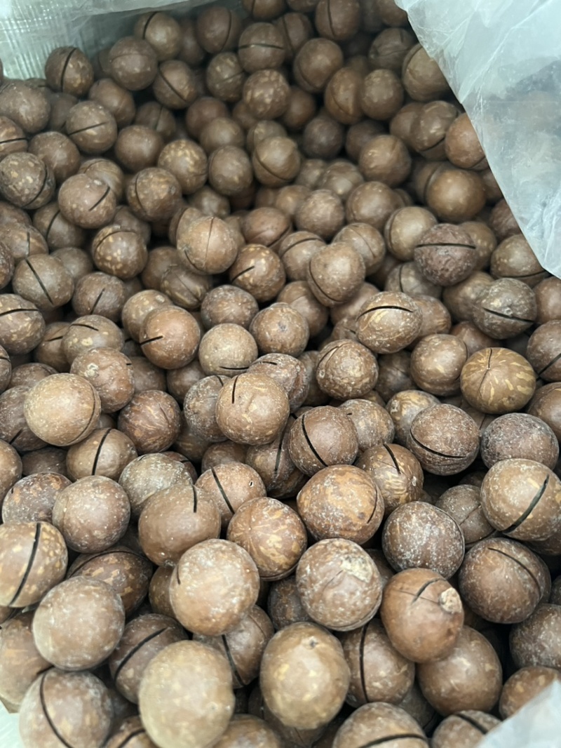 好货夏威夷果奶香味