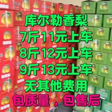 香梨，源头工厂产地直发大量供应价格美丽需要联系老板们
