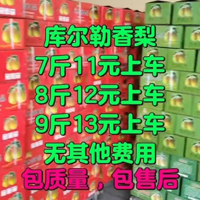 香梨，源头工厂产地直发大量供应价格美丽需要联系老板们