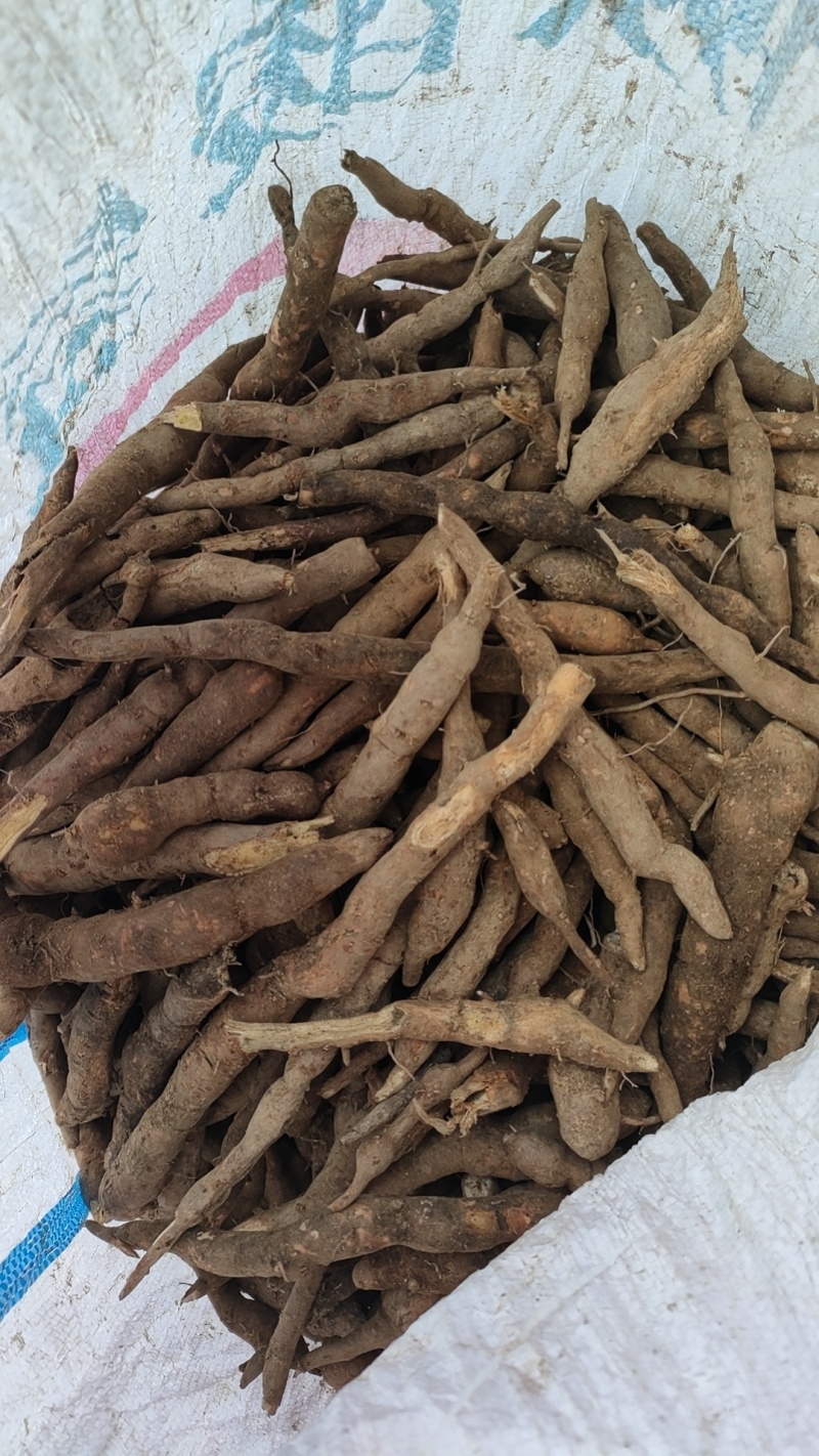 中药材乌药统货今年产新新货一手货源现挖现卖
