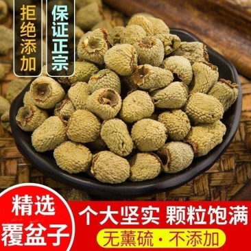 中药材覆盆子大颗粒精选泡酒泡茶保质保量批发零售