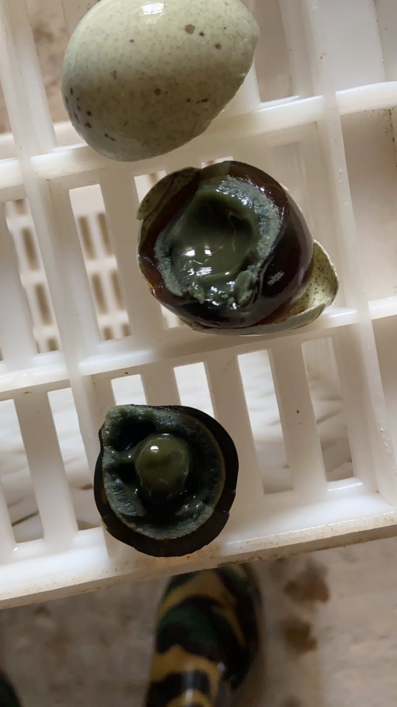 精品无铅松花蛋货源地直发口感好品质优对接全国