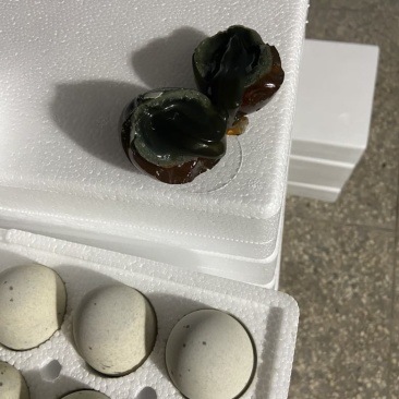 精品无铅松花蛋货源地直发口感好品质优对接全国