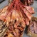 2025当季热卖火爆小猪排，中方，各种腊肉，香肠