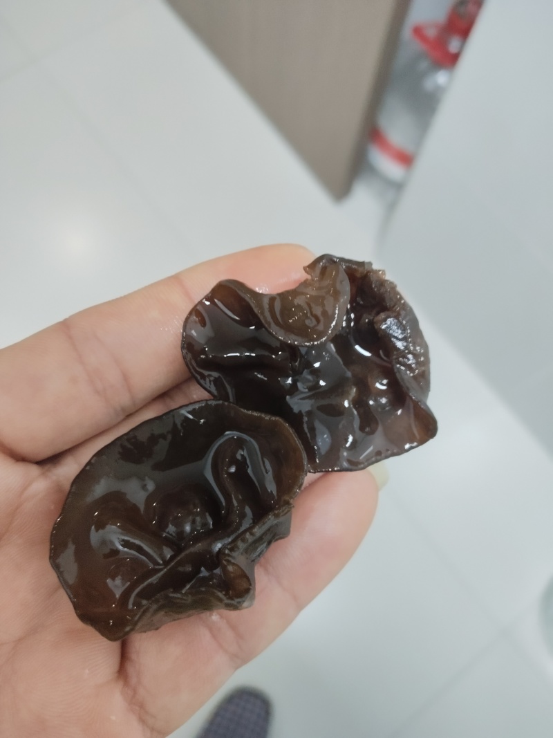 正宗自己种植东北木耳，可包装，可散卖。看客户需求。货源充