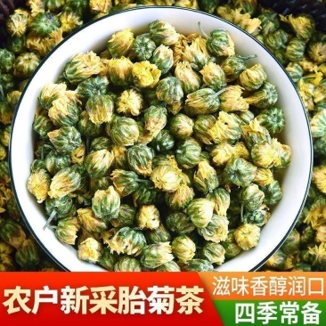 胎菊中药材桐乡胎菊无熏硫***品质保证康养斋中药材