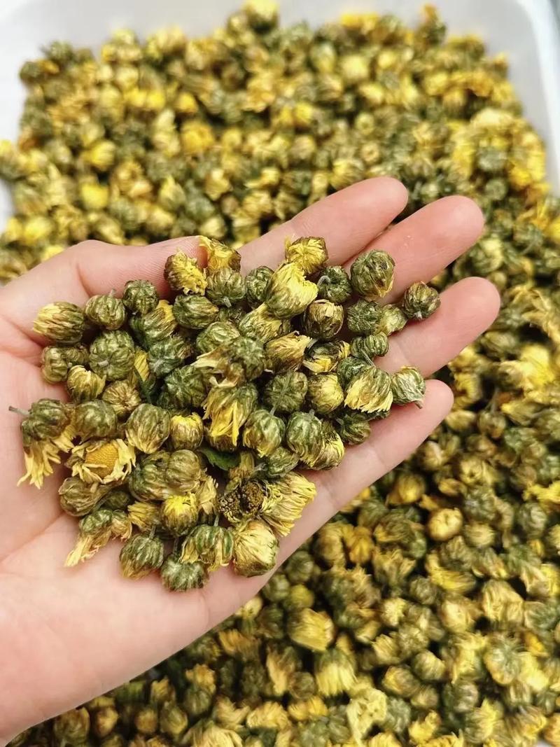 胎菊中药材桐乡胎菊无熏硫***品质保证康养斋中药材