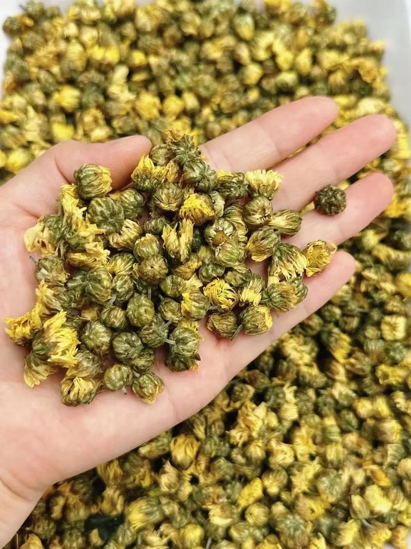 胎菊中药材桐乡胎菊无熏硫***品质保证康养斋中药材