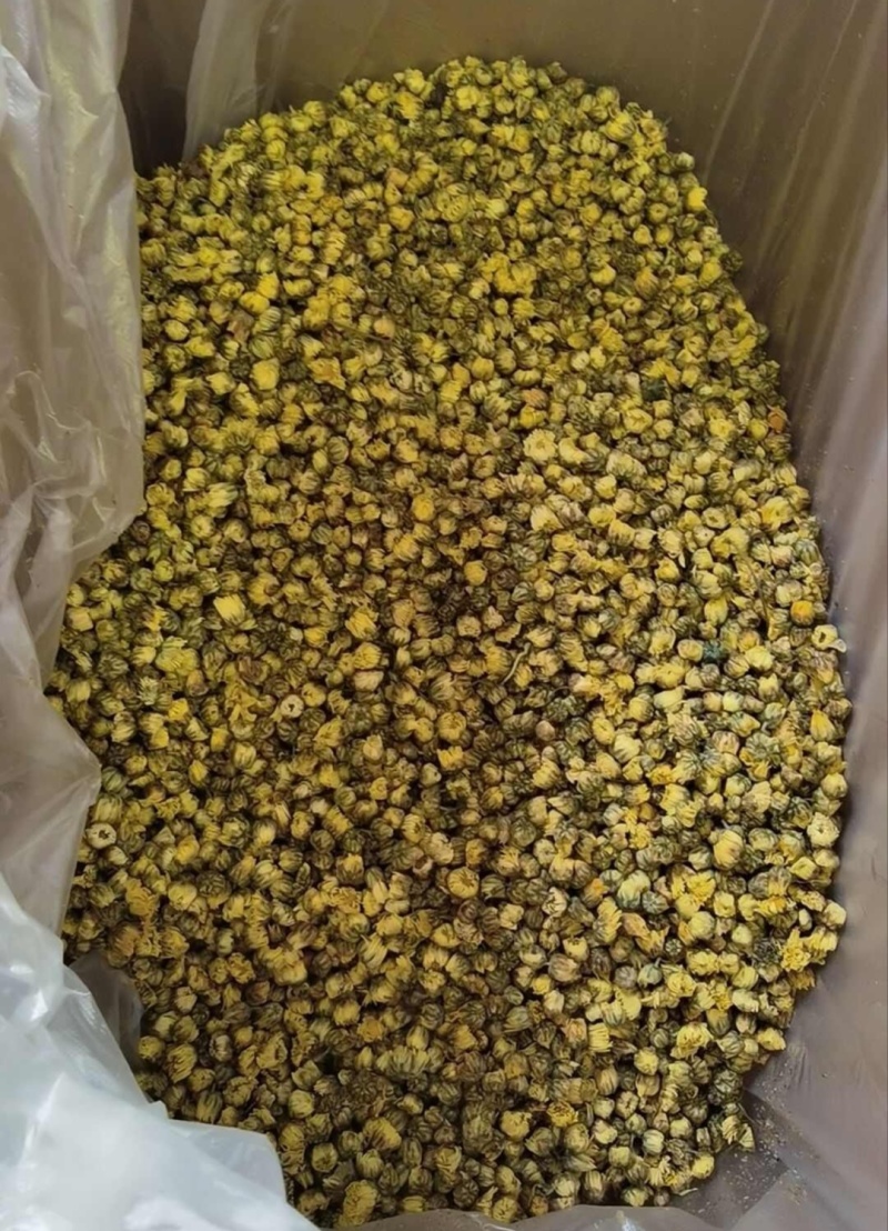 胎菊中药材桐乡胎菊无熏硫***品质保证康养斋中药材