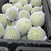 小南瓜