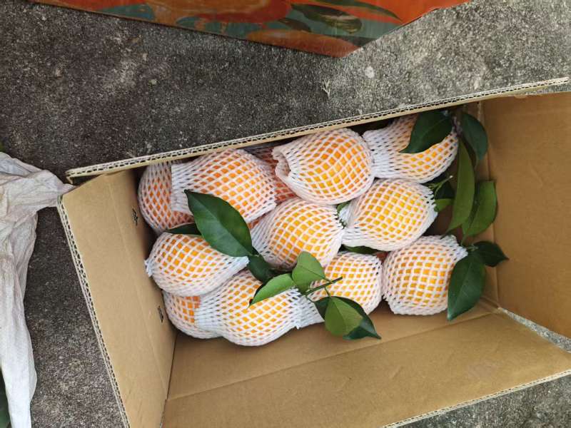 现摘现发，赣南脐橙