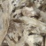【产地直供】甘肃岷县当归头片，无熏硫，原色原味，量大从优