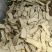 【产地直供】甘肃岷县当归头片，无熏硫，原色原味，量大从优