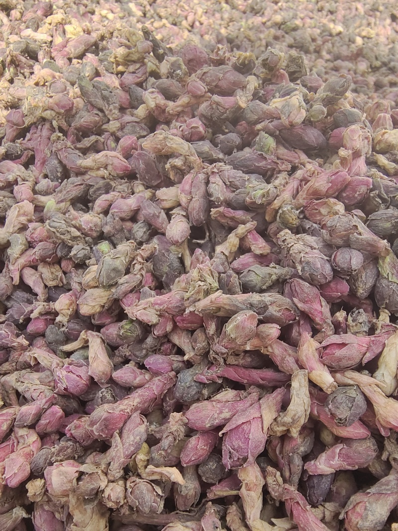 甘肃精品款冬花