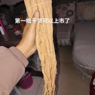 贵州高原无硫黄党参干货上市