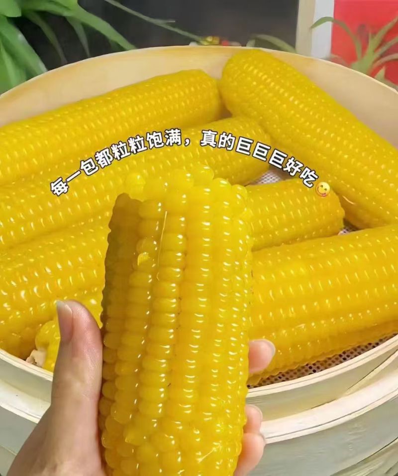 东北黄糯玉米，各大电商平台，一件代发，价格全网可比