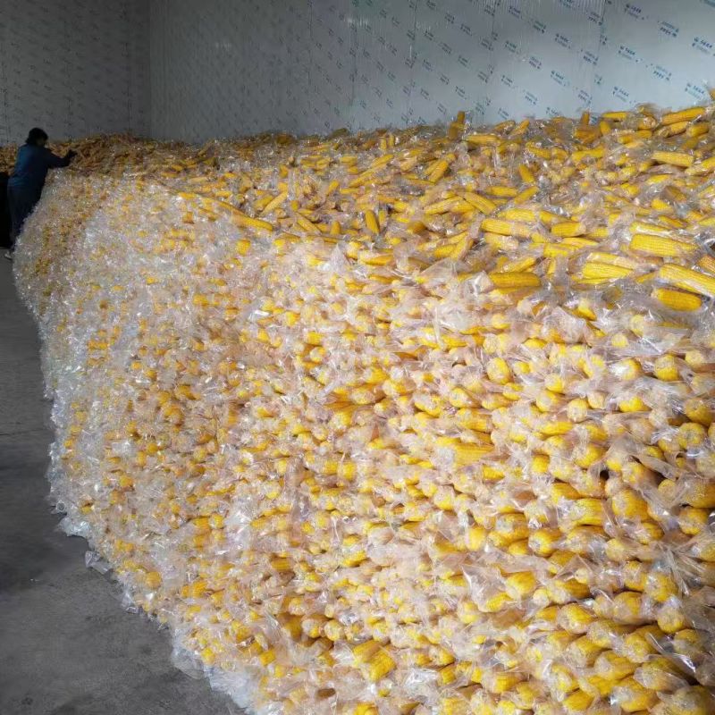 东北黄糯玉米，各大电商平台，一件代发，价格全网可比