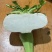 精品盘菜、温州盘菜、玉环特产盘菜、仙居盘菜种植基地