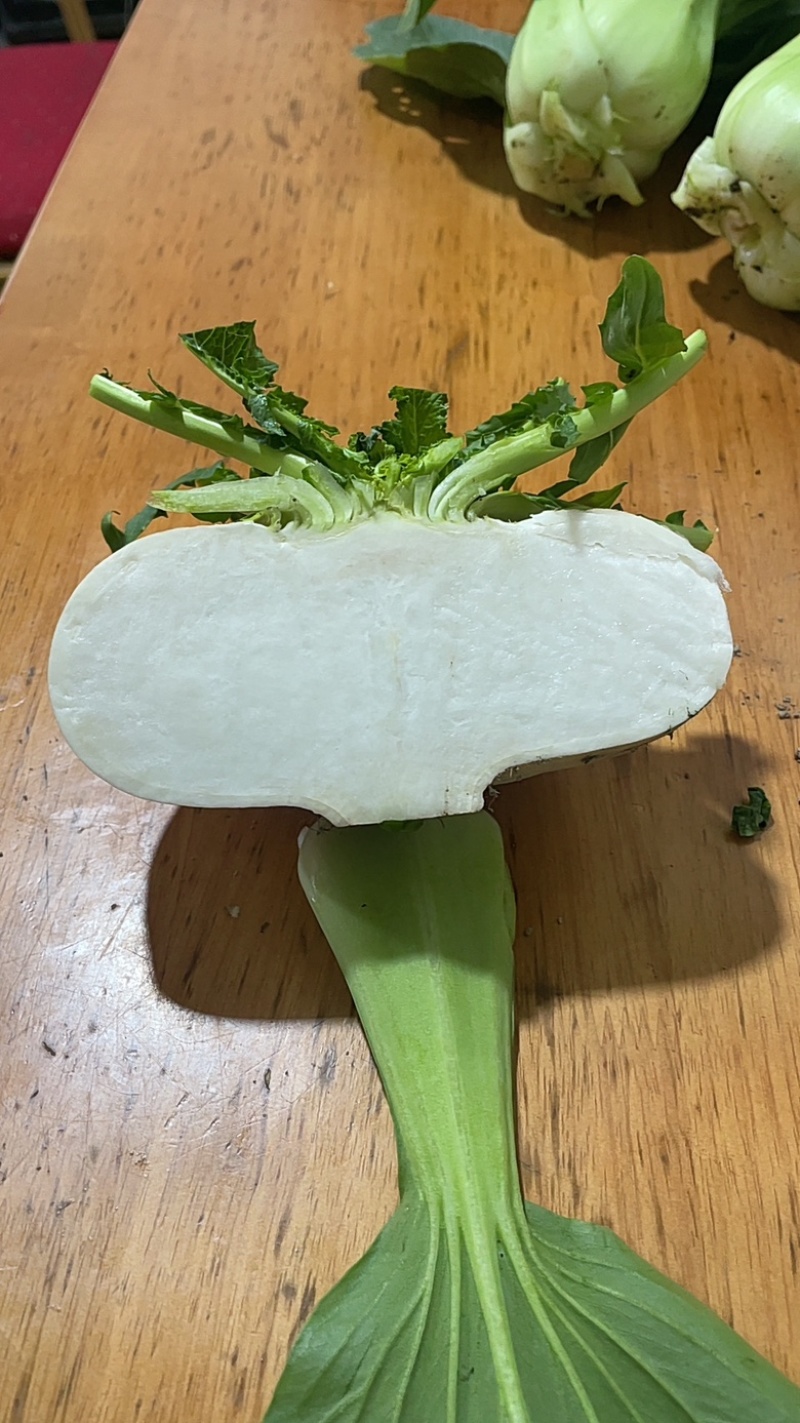 精品盘菜、温州盘菜、玉环特产盘菜、仙居盘菜种植基地