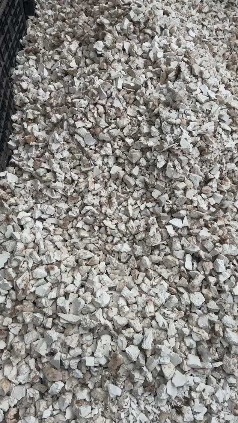 茯苓乱坨