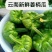 云南特产新鲜姜柄瓜小麦瓜嫩南瓜饼子瓜网红火锅店食材