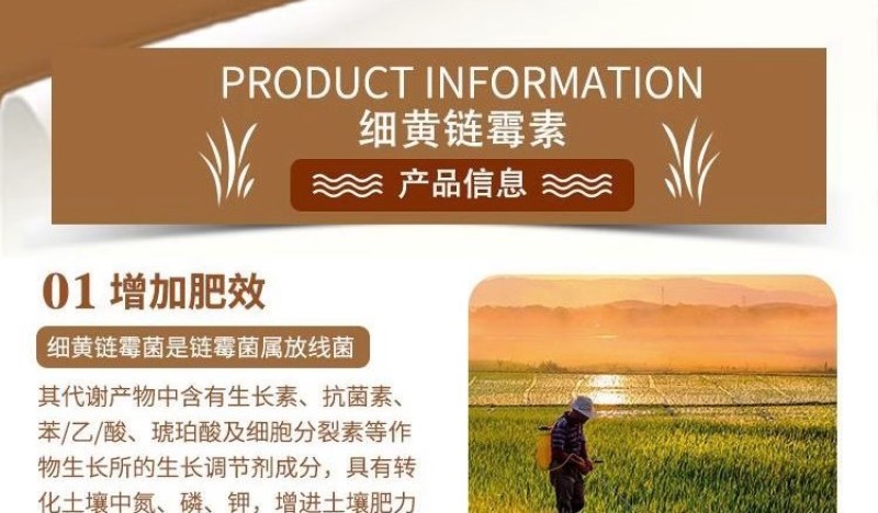 细黄链霉菌农用杀菌溃疡青枯软腐野火细菌性病害角斑病穿孔腐