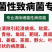 细黄链霉菌农用杀菌溃疡青枯软腐野火细菌性病害角斑病穿孔腐