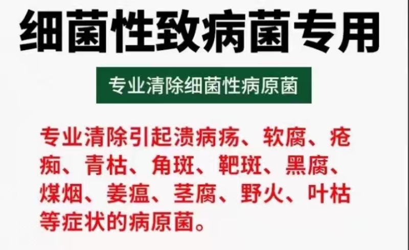 细黄链霉菌农用杀菌溃疡青枯软腐野火细菌性病害角斑病穿孔腐