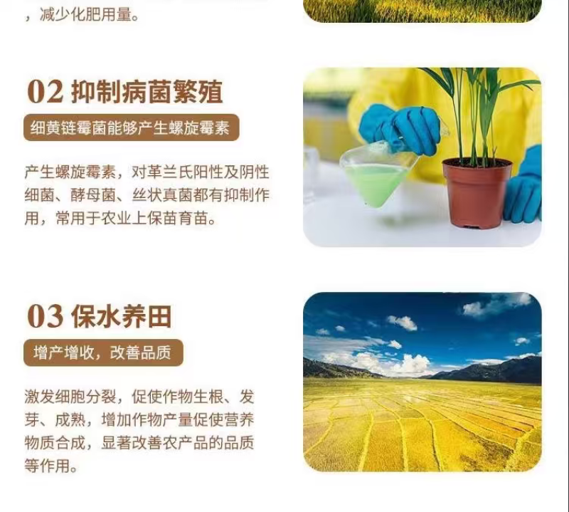 细黄链霉菌农用杀菌溃疡青枯软腐野火细菌性病害角斑病穿孔腐