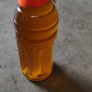 10斤纯野茶果茶油