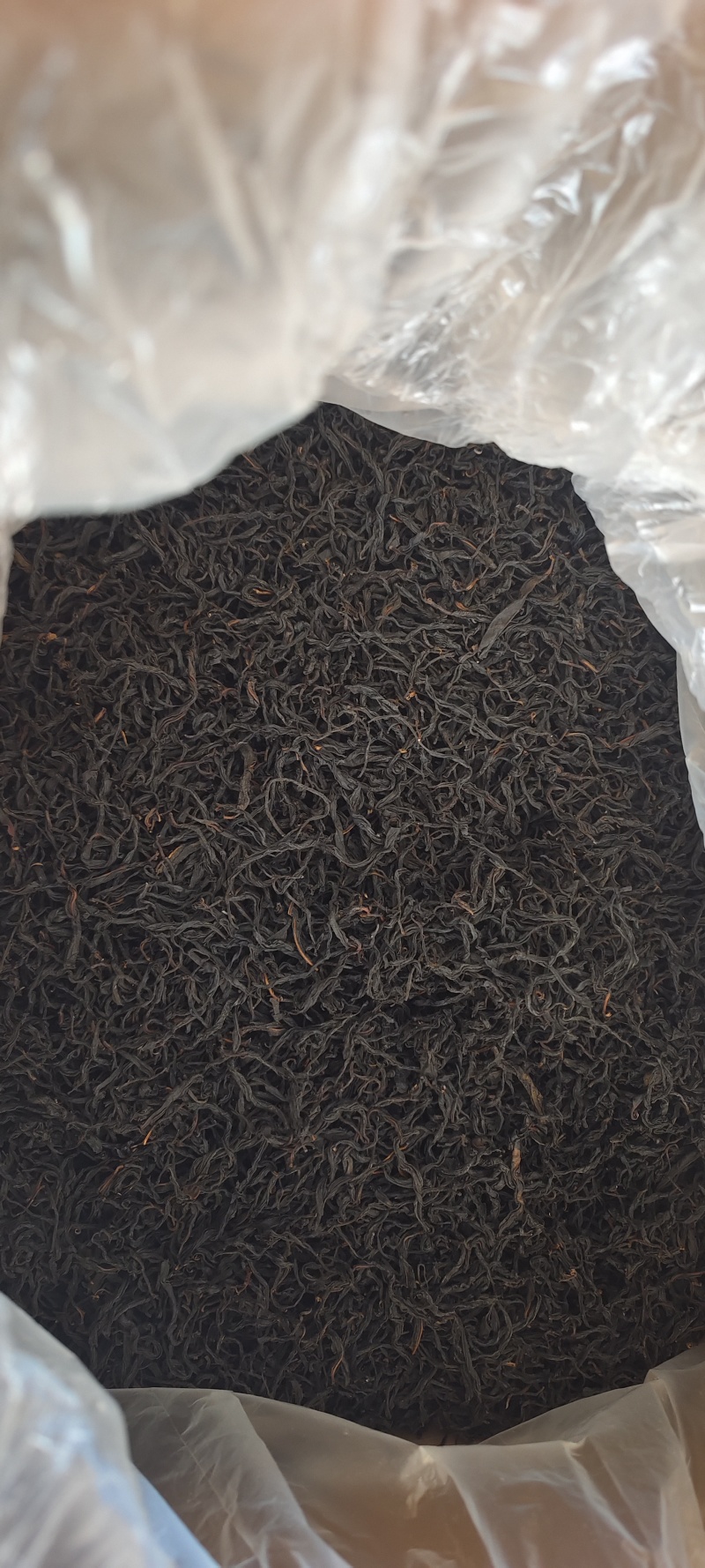 千年古树茶