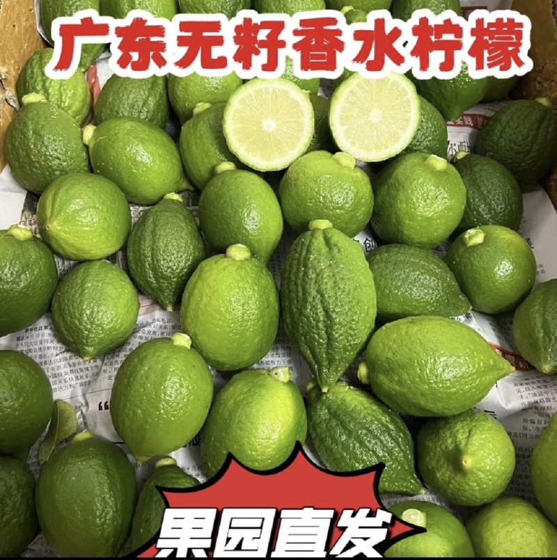 价格实惠，质量保证。
