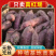 正宗红瑶蜜薯一件代发榴莲蜜薯一件代发包邮包售后供应链代发
