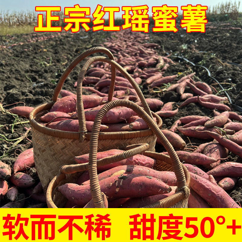 正宗红瑶蜜薯一件代发榴莲蜜薯一件代发包邮包售后供应链代发