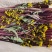 正宗湖北洪山菜苔，生吃有回甘