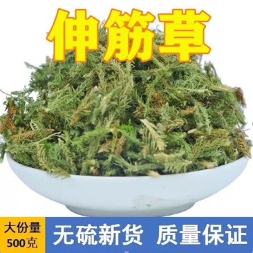 中药材伸筋草筋骨草正品新货透骨草舒筋草批发