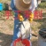 深山散养土蜂冬蜜（鸭脚木和野桂为主）