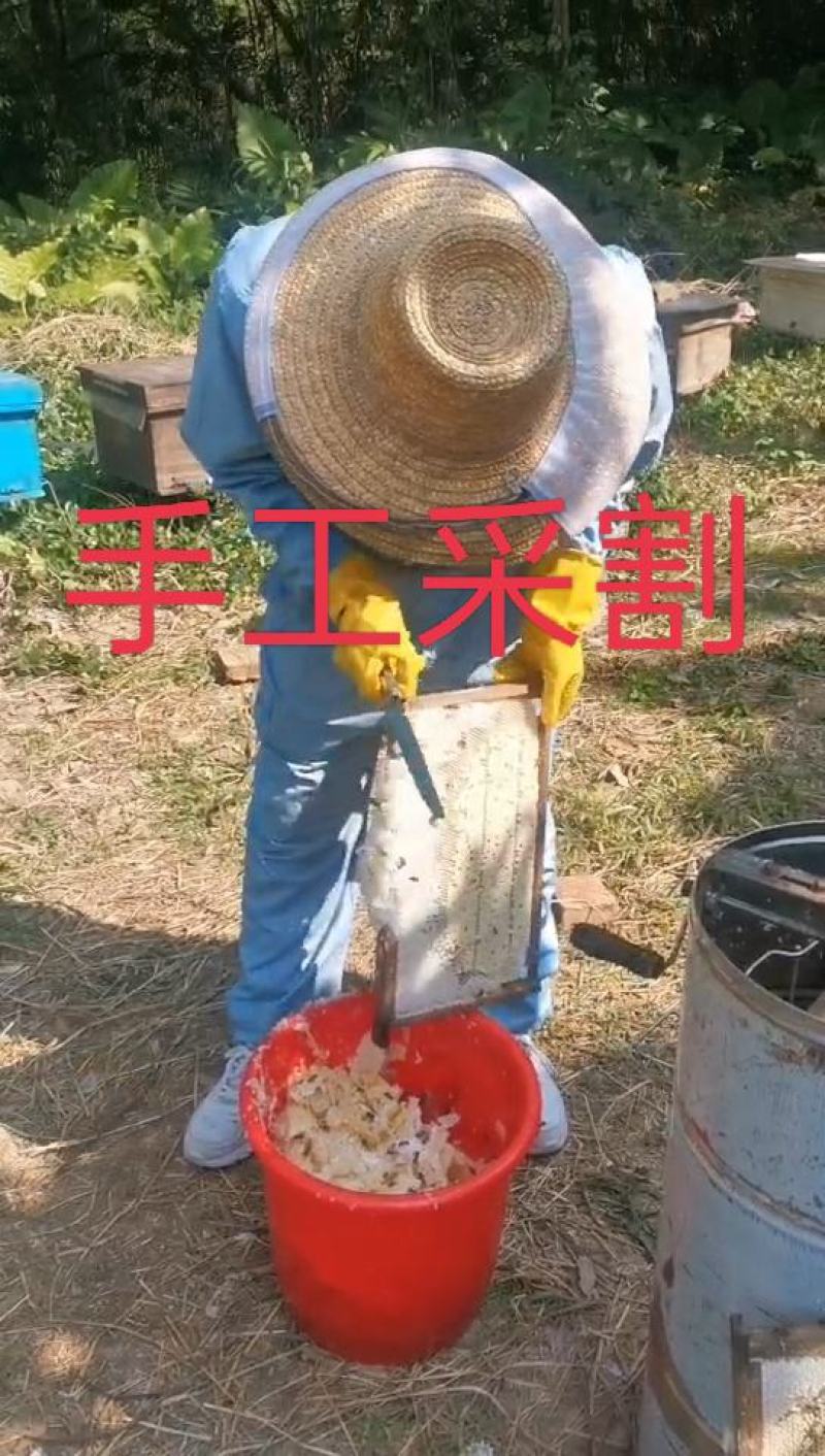 深山散养土蜂冬蜜（鸭脚木和野桂为主）