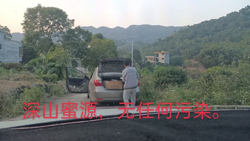 深山散养土蜂冬蜜（鸭脚木和野桂为主）