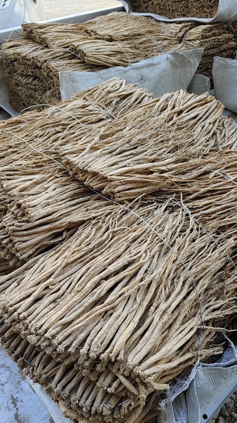 甘肃陇西白条党参。产地直销一手货源