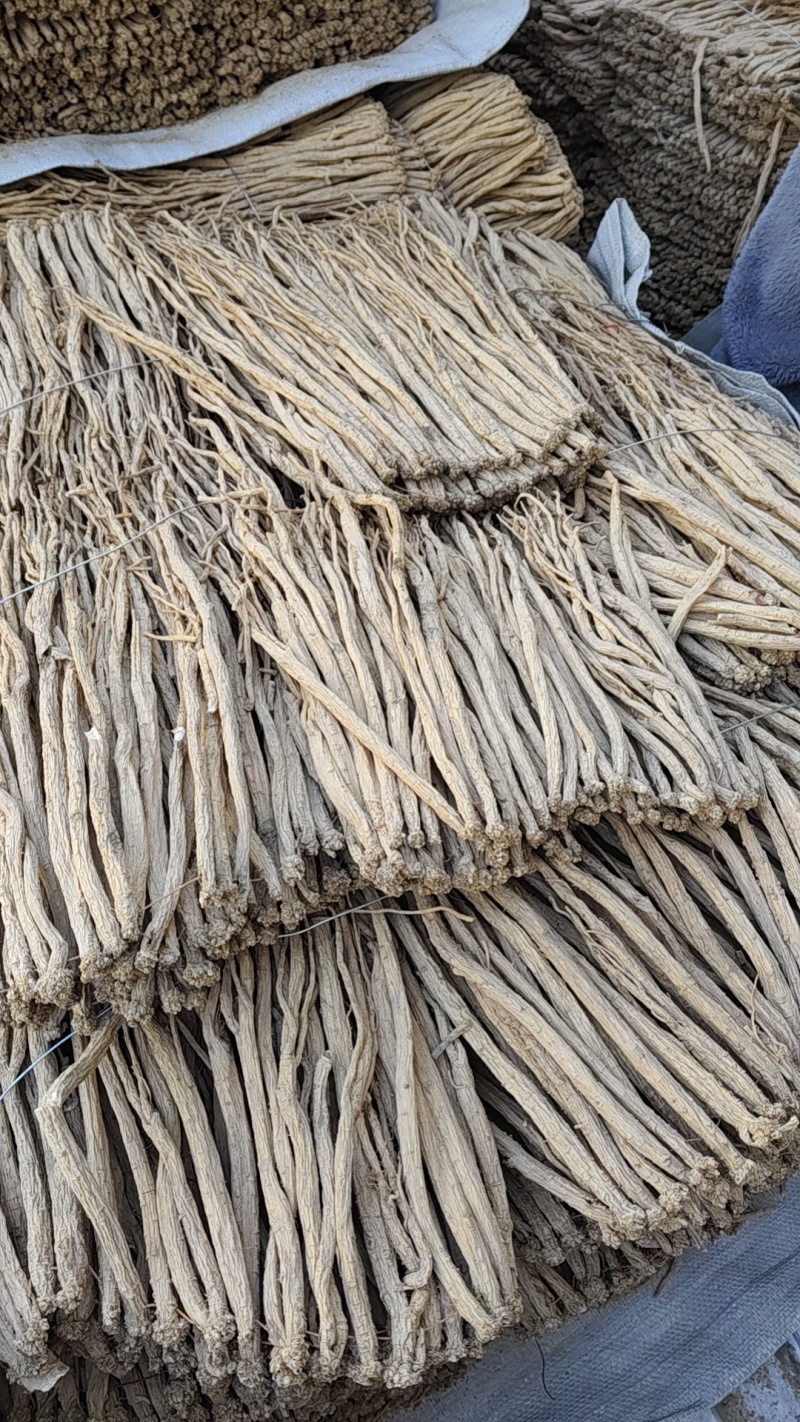甘肃陇西白条党参。产地直销一手货源