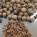 山核桃奶香味原味大量现货各种口味