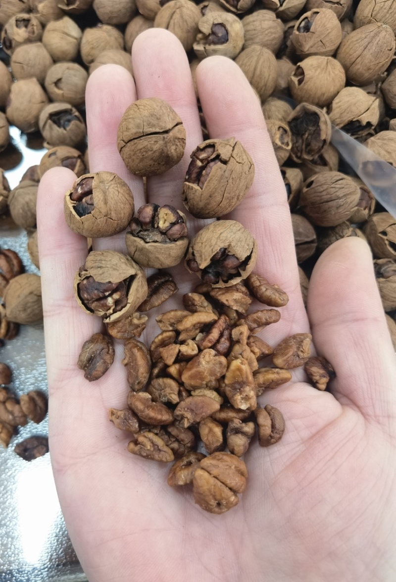 山核桃奶香味原味大量现货各种口味