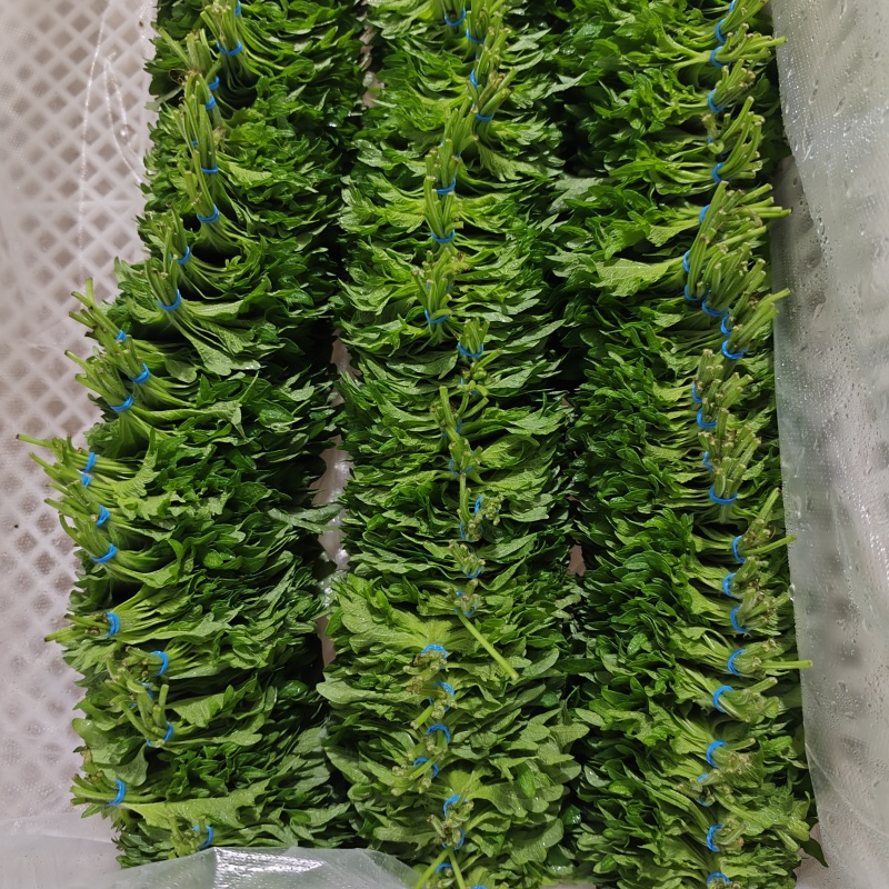 苏子叶整箱10000片日料三文鱼配菜盘饰花草