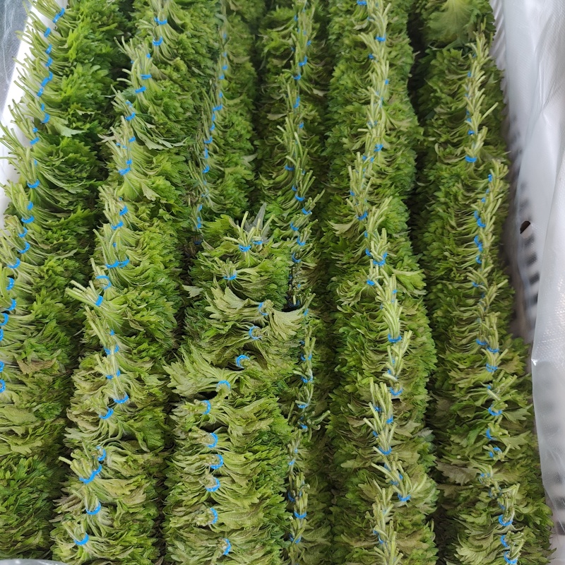 苏子叶整箱10000片日料三文鱼配菜盘饰花草