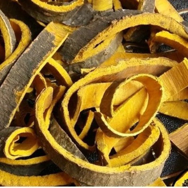 关黄柏中药材正品关黄柏老树厚皮质优味浓无硫