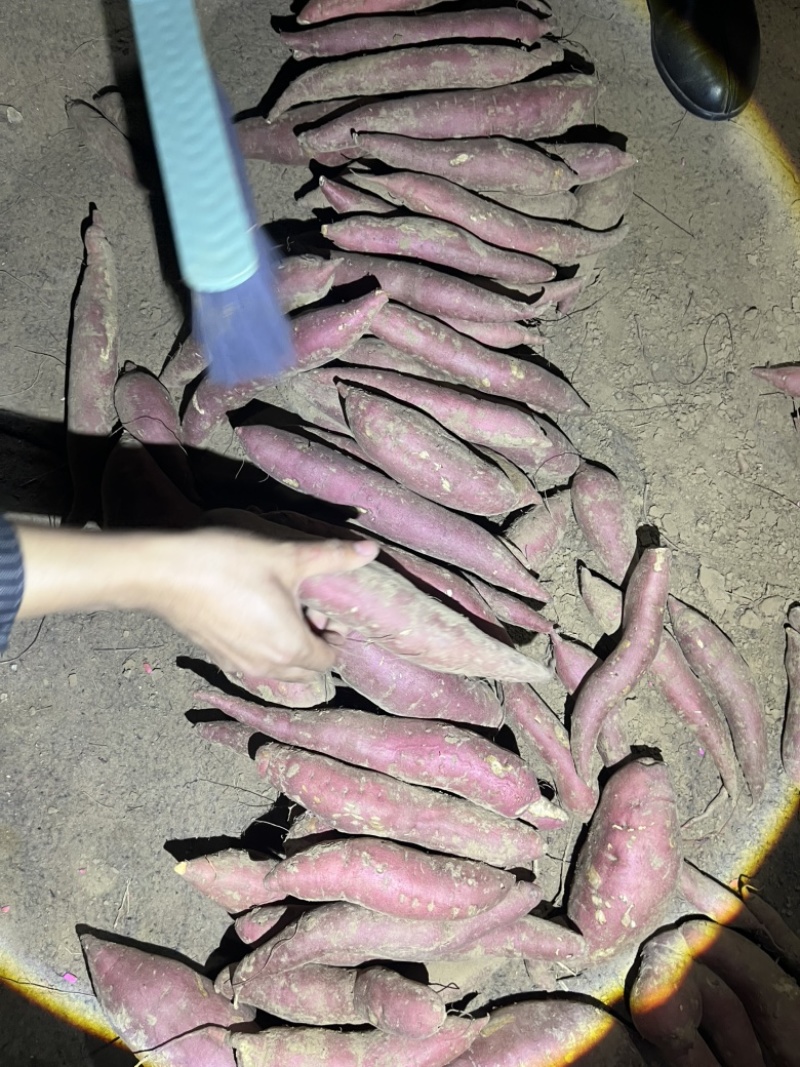 辽宁凌海沙地西瓜红大量供应