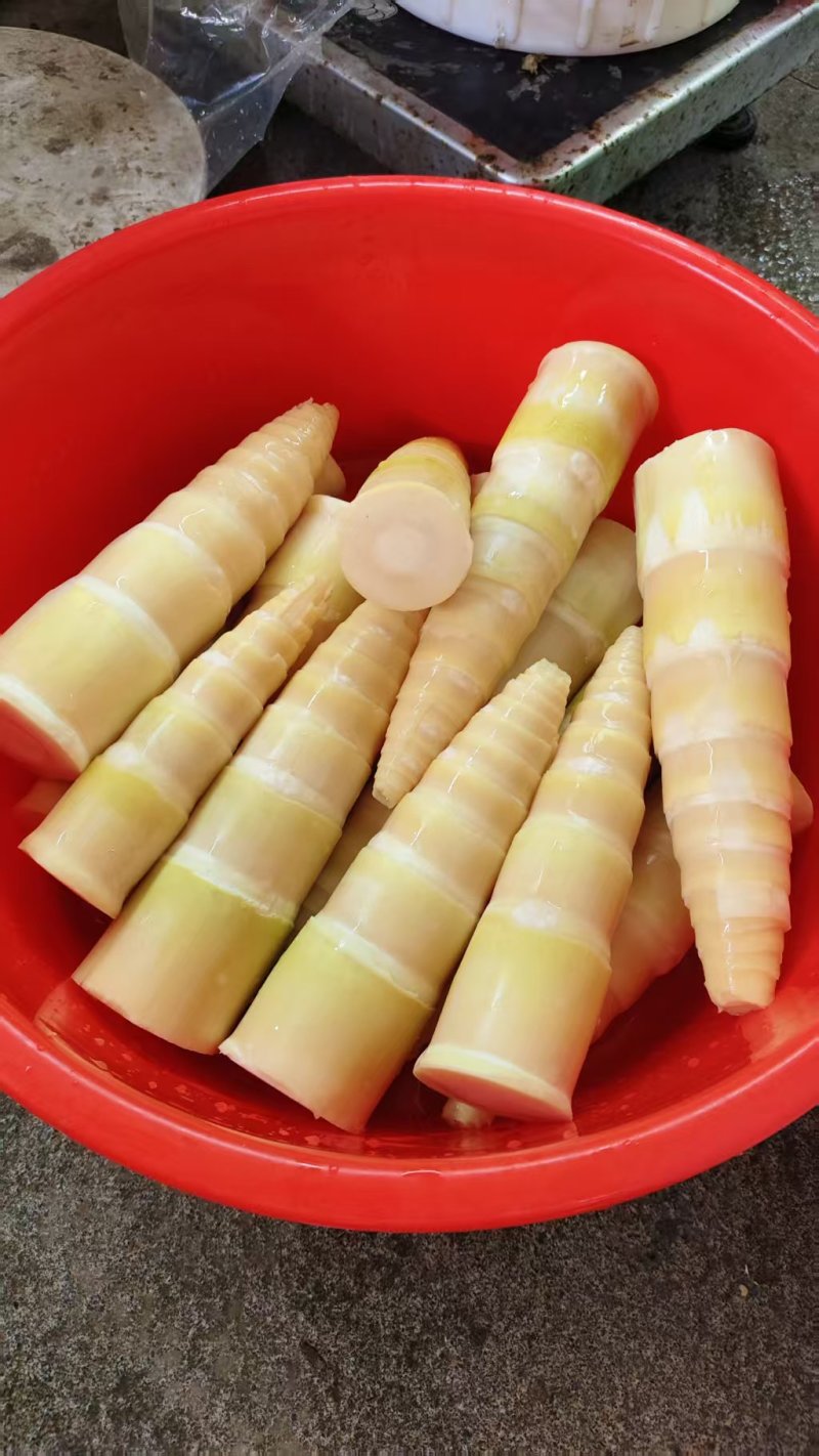 酸笋条，脆嫩爽口，货品充足，欢迎各位老板前来选购