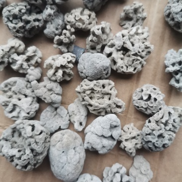 海浮石花大花现货产地直销量大从优欢迎采购